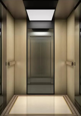 Wohndes passagier-2.5m/s Personen Aufzugs-des Aufzug-1000KG 13