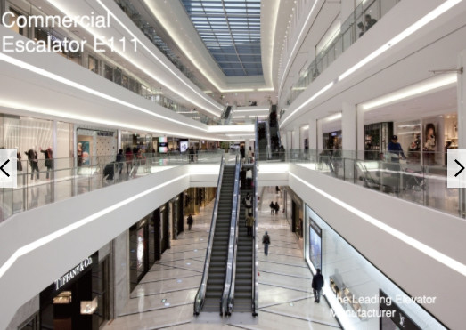 Einkaufszentrum-beweglicher Weg-Rolltreppe 35 Grad milderte Glas-Fuji