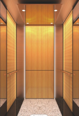 10 Edelstahl-Aufzug-Kabine des Personen-Passagier-Aufzugs-CNAS