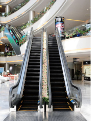 Einkaufszentrum-beweglicher Weg-Rolltreppe 35 Grad milderte Glas-Fuji